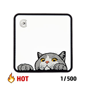 C42 Patch KATZE